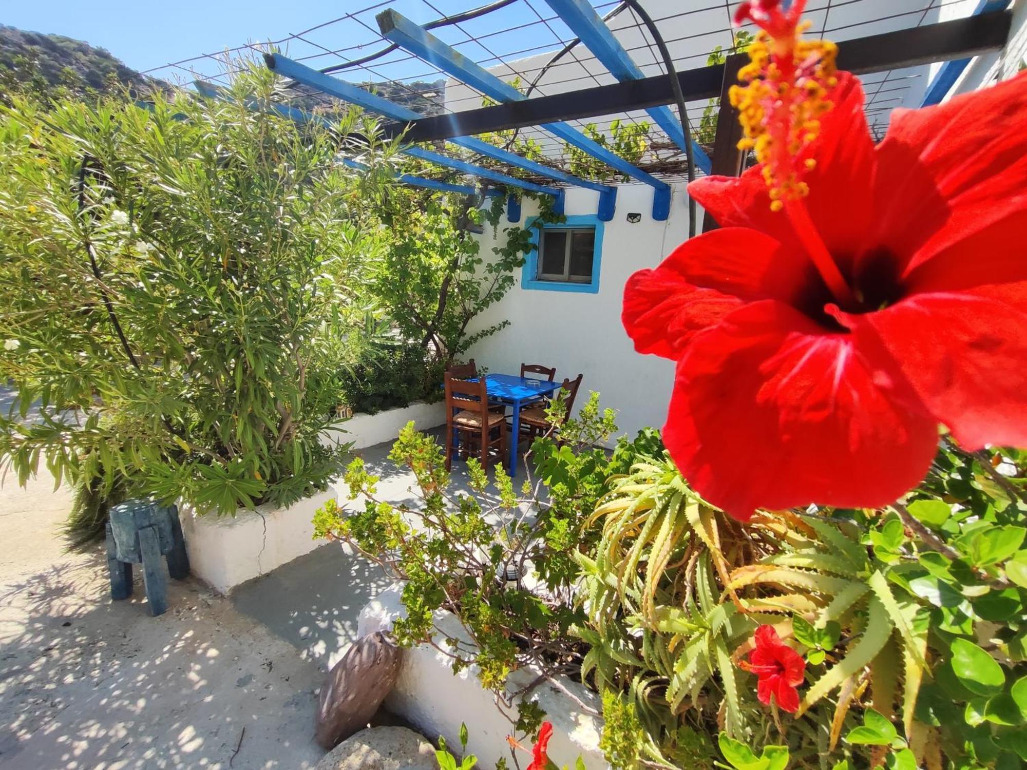Oleander'S Garden Traditional Cretan Cottage Ferma Esterno foto